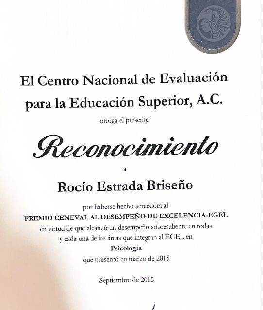 Ampliar imagen: certificate 4