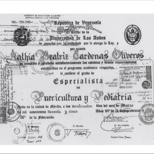 Ampliar imagen: certificate 3