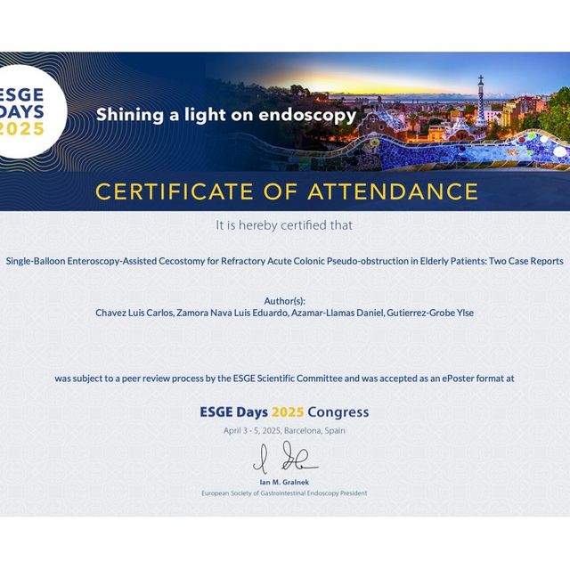 Ampliar imagen: certificate 12