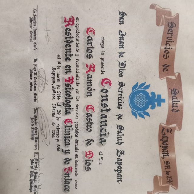 Ampliar imagen: certificate 3