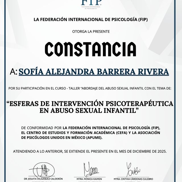 Ampliar imagen: certificate 10
