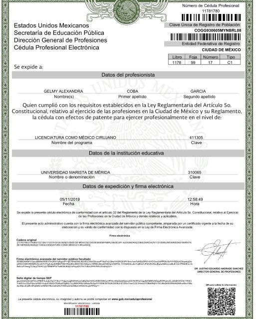 Ampliar imagen: certificate 2