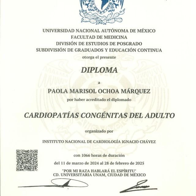 Ampliar imagen: certificate 2