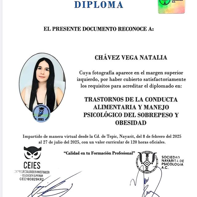 Ampliar imagen: certificate 13