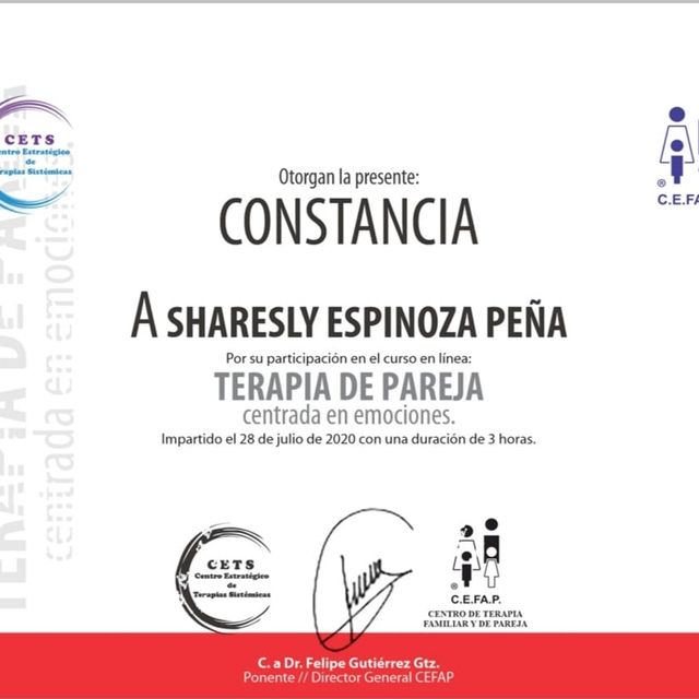 Ampliar imagen: certificate 3
