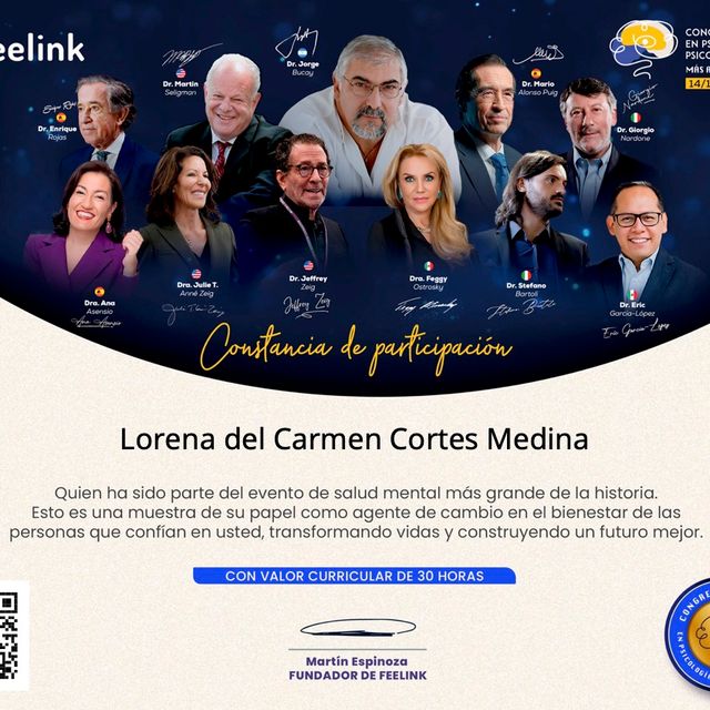 Ampliar imagen: certificate 15