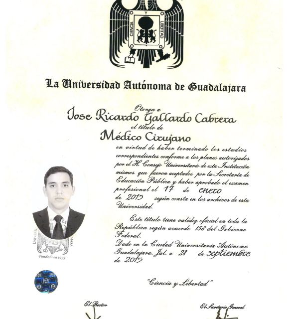 Ampliar imagen: certificate 7