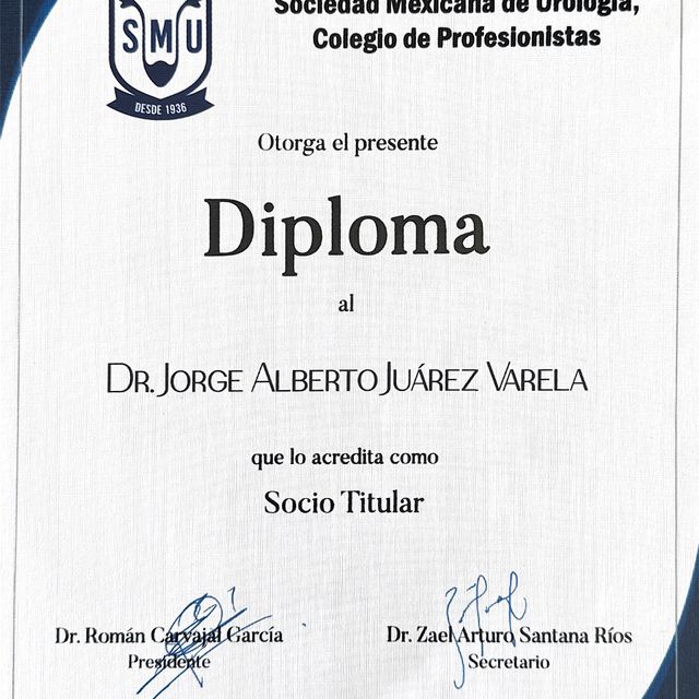 Ampliar imagen: certificate 15