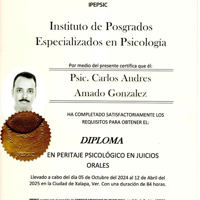 Ampliar imagen: certificate 4