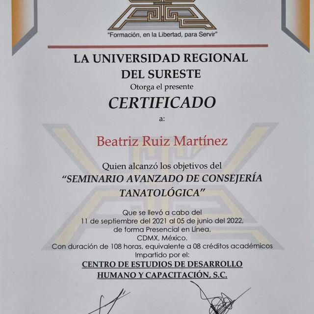 Ampliar imagen: certificate 7