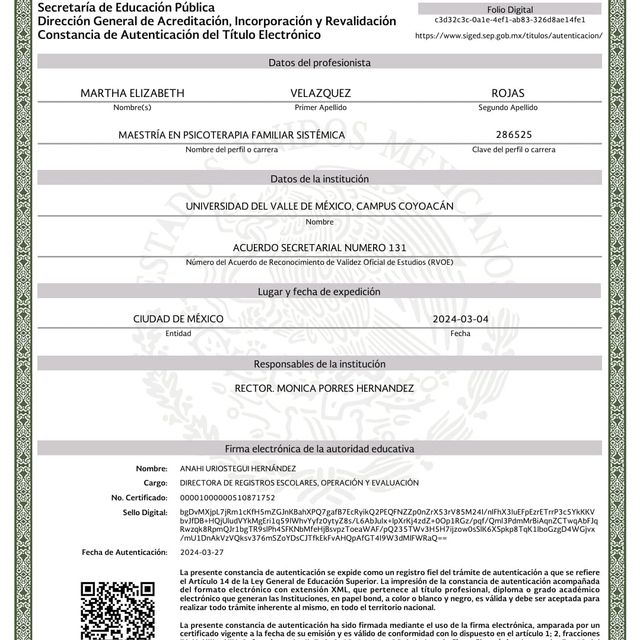 Ampliar imagen: certificate 7