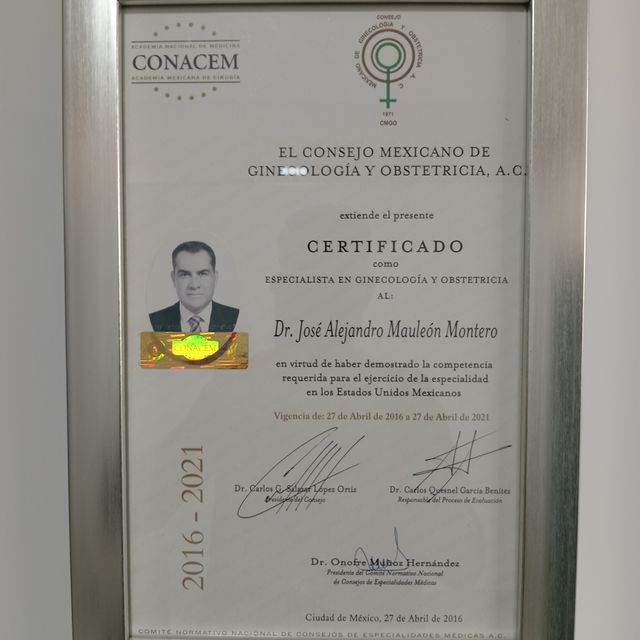 Ampliar imagen: certificate 4