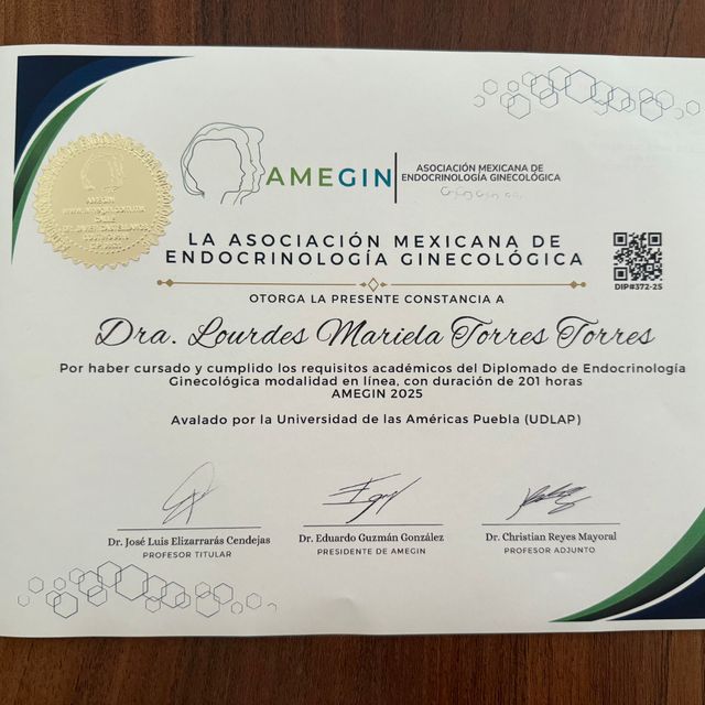 Ampliar imagen: certificate 10