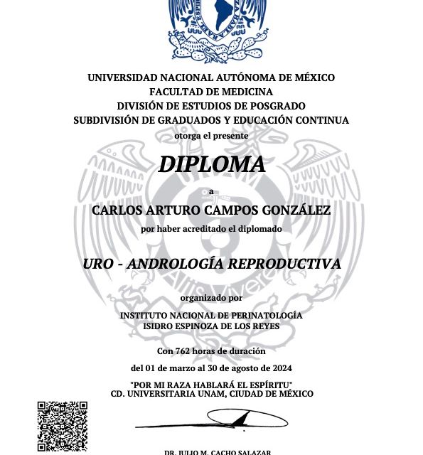 Ampliar imagen: certificate 5
