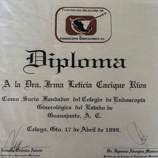 Ampliar imagen: certificate 2