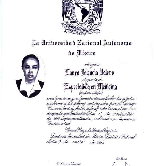 Ampliar imagen: certificate 9