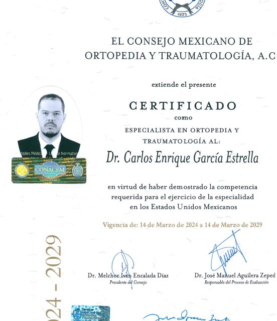Ampliar imagen: certificate 1