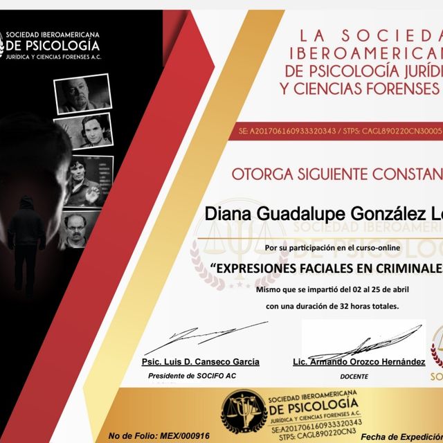 Ampliar imagen: certificate 8