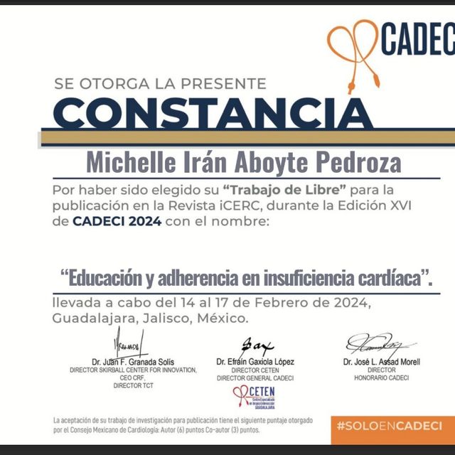 Ampliar imagen: certificate 4