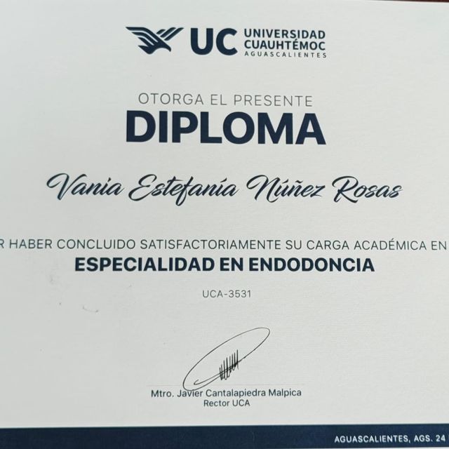 Ampliar imagen: certificate 1