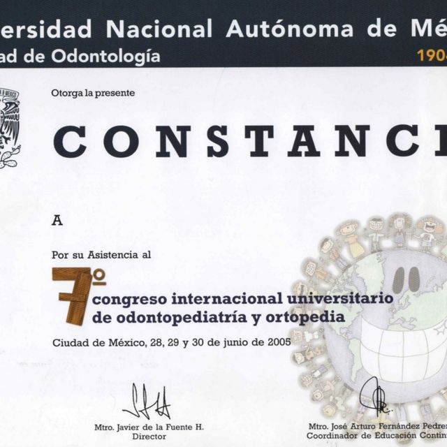 Ampliar imagen: certificate 2