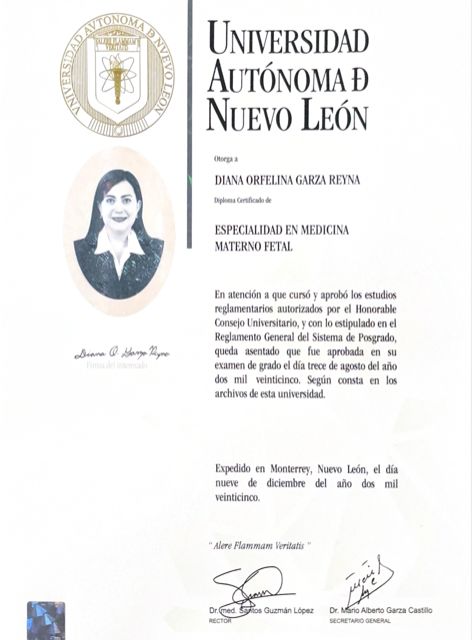 Ampliar imagen: certificate 3