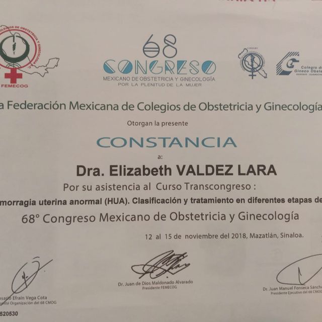 Ampliar imagen: certificate 7