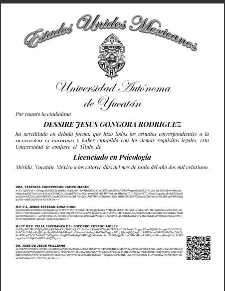 Ampliar imagen: certificate 5