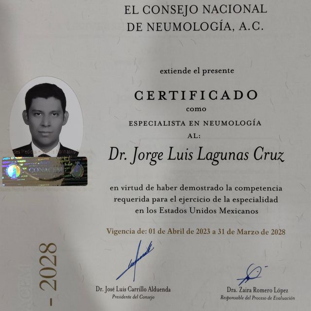 Ampliar imagen: certificate 3