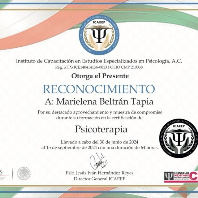 Ampliar imagen: certificate 4