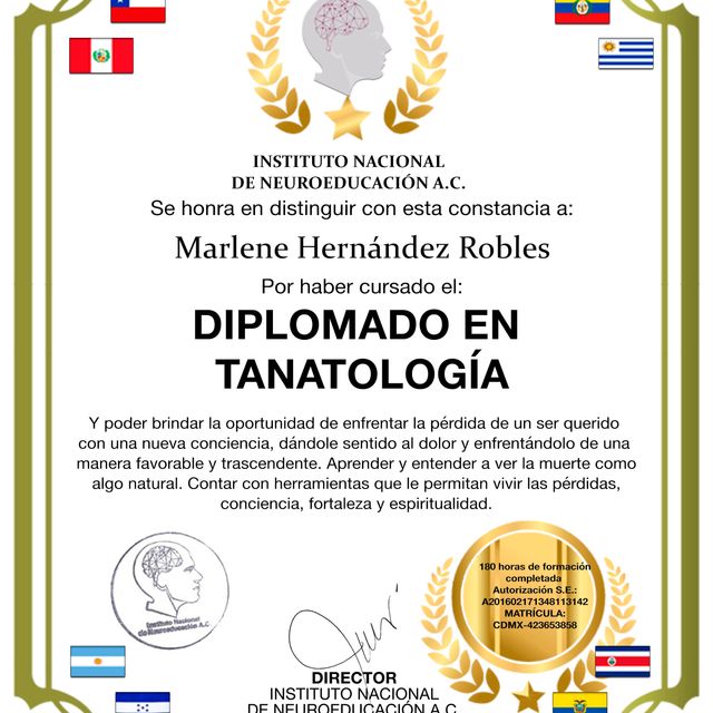 Ampliar imagen: certificate 14