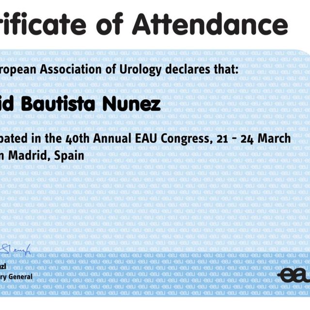 Ampliar imagen: certificate 4