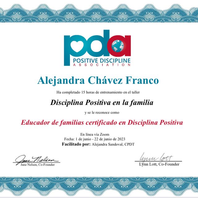 Ampliar imagen: certificate 2
