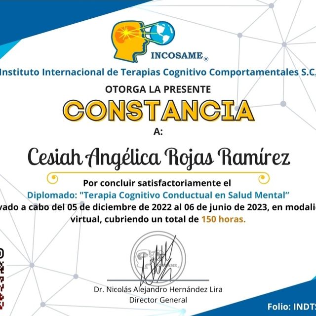 Ampliar imagen: certificate 1