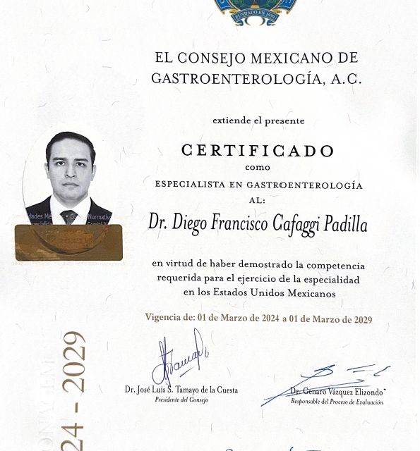 Ampliar imagen: certificate 3