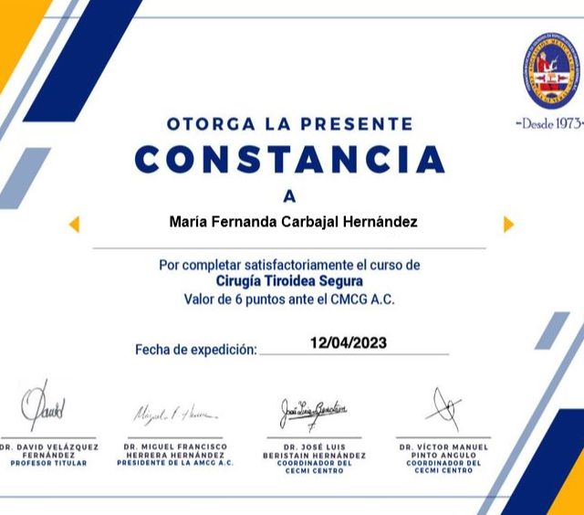 Ampliar imagen: certificate 12