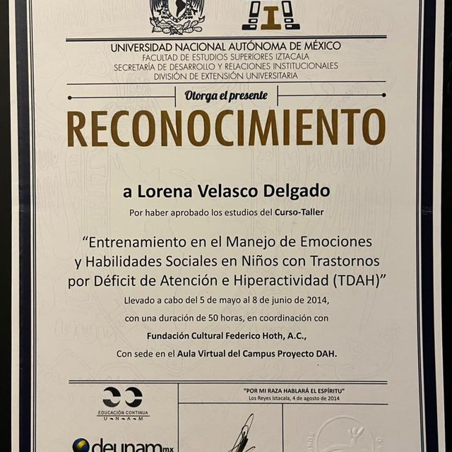 Ampliar imagen: certificate 4