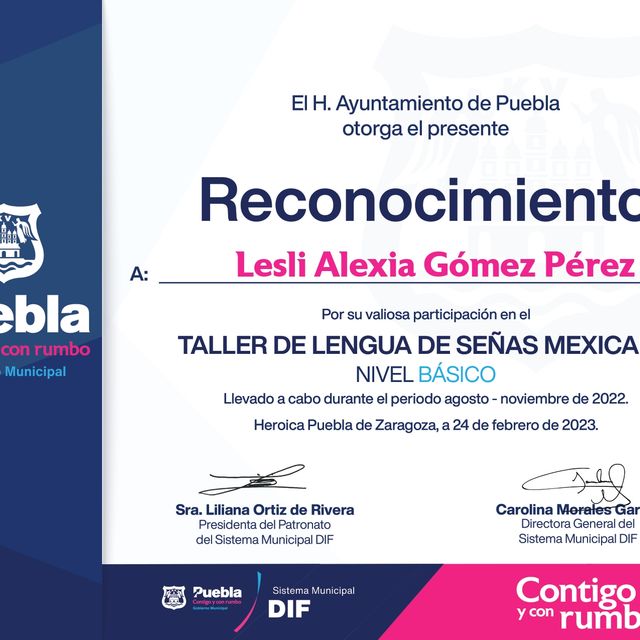 Ampliar imagen: certificate 21