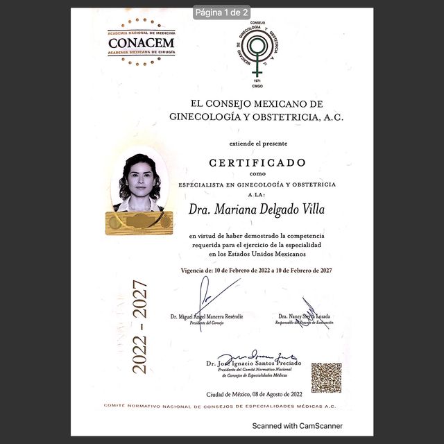 Ampliar imagen: certificate 9
