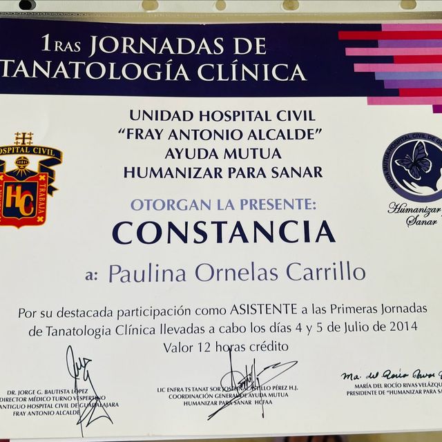 Ampliar imagen: certificate 5