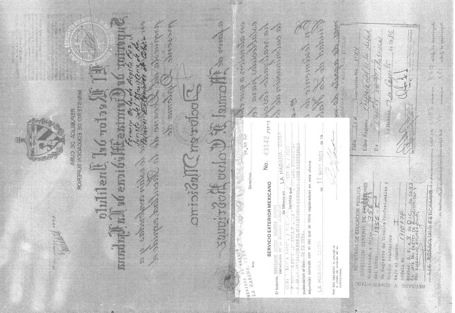 Ampliar imagen: certificate 2