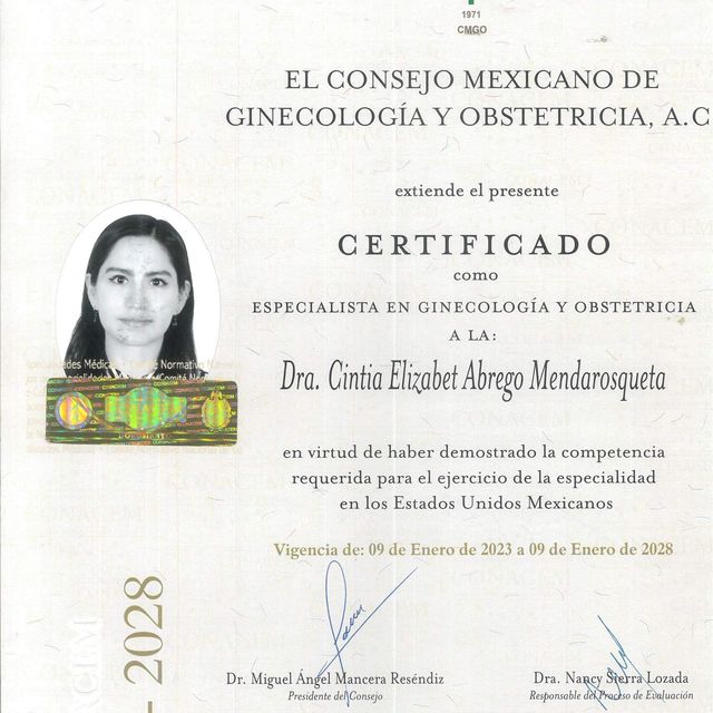 Ampliar imagen: certificate 3