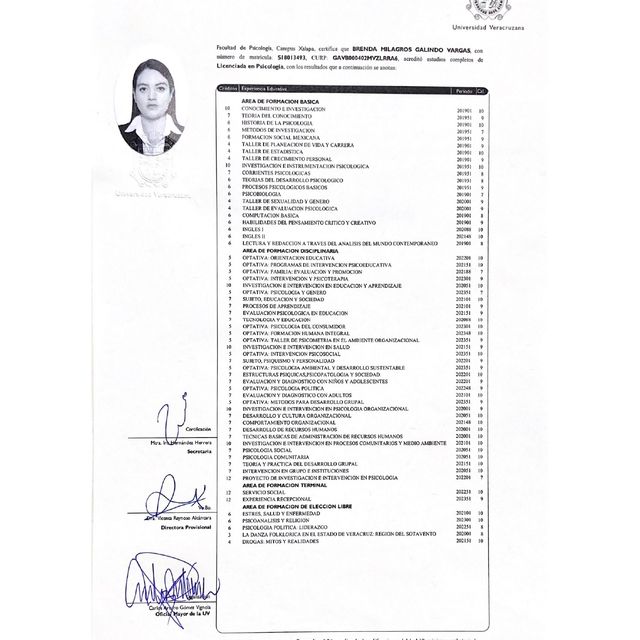 Ampliar imagen: certificate 3