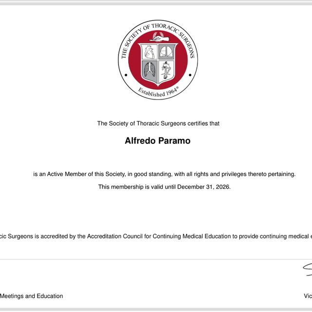 Ampliar imagen: certificate 4