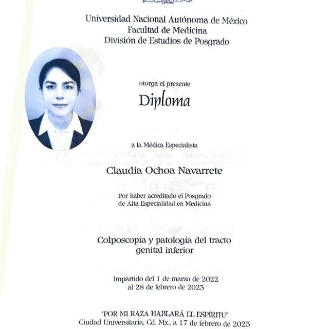 Ampliar imagen: certificate 3