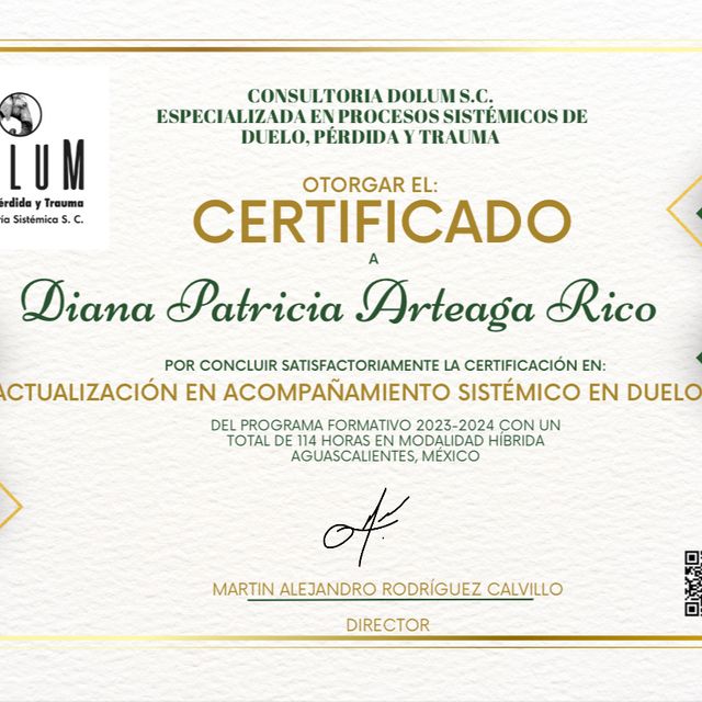 Ampliar imagen: certificate 2