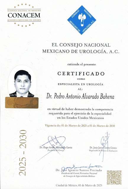 Ampliar imagen: certificate 1