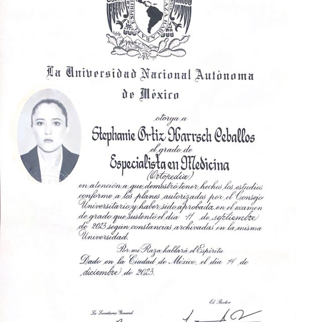 Ampliar imagen: certificate 3