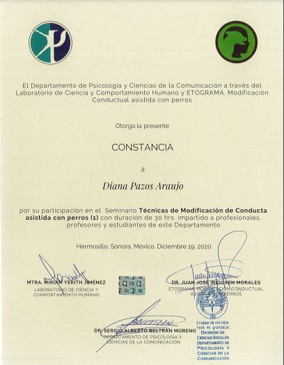 Ampliar imagen: certificate 14