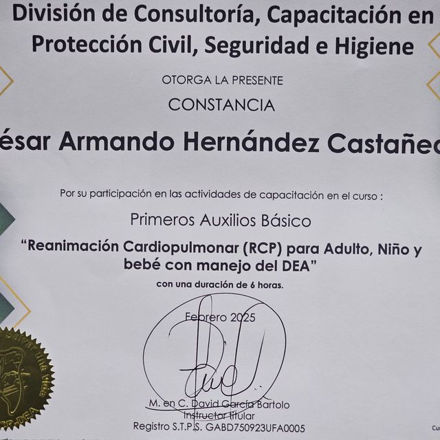 Ampliar imagen: certificate 4